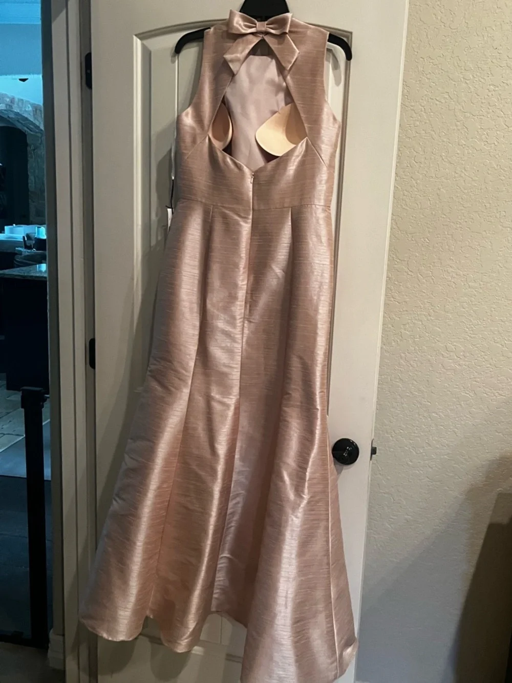 ALFRED SUNG SZ 12 Pearl Pink Gown - Picture 5 of 6